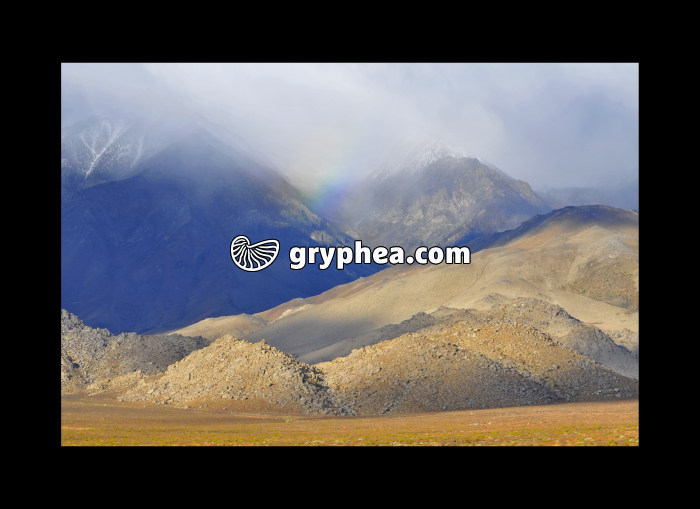 Inyo National Forest (California, USA) - gryphea.com